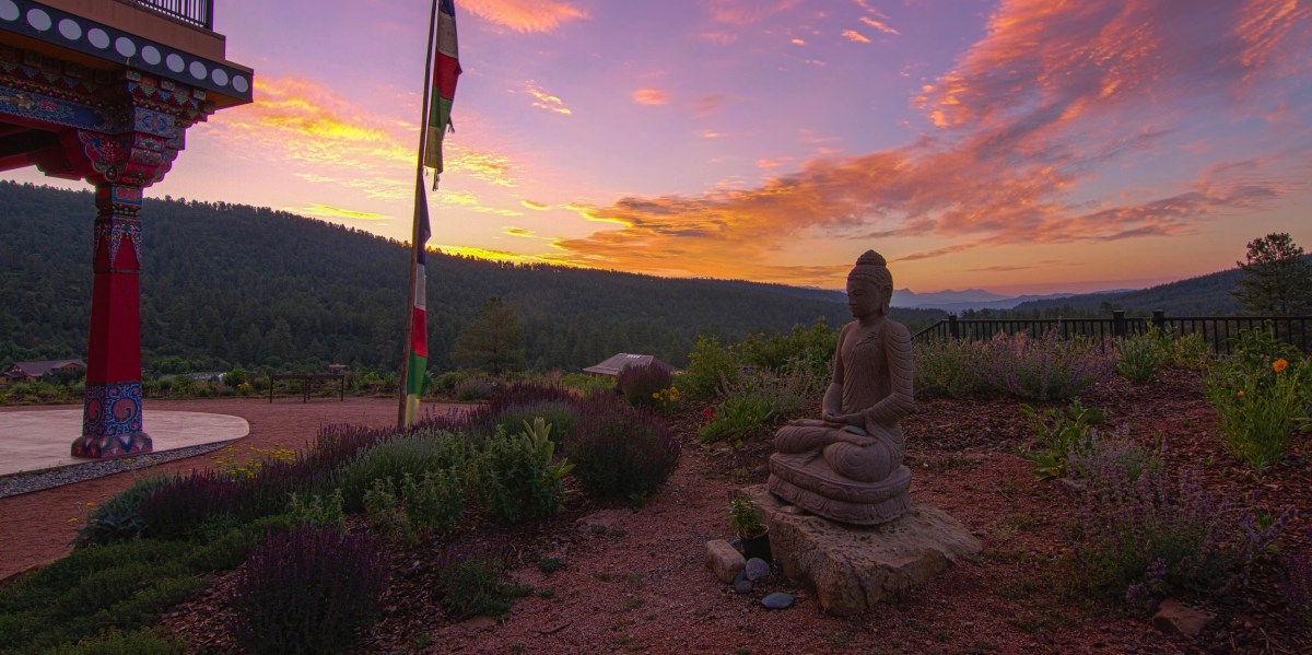 Sutrajana. Życie i nauki Buddy